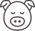 Schweinefleisch - Metzgerei Hirschle Süßen